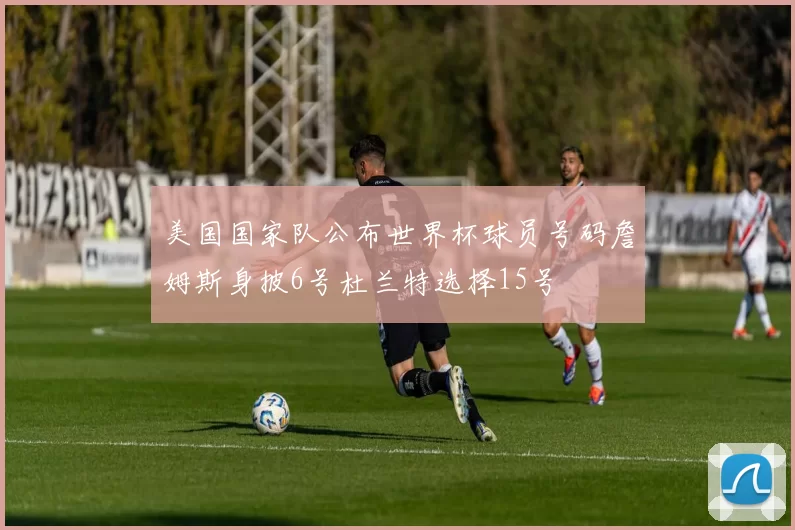 美国国家队公布世界杯球员号码詹姆斯身披6号杜兰特选择15号